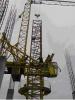 post-231-0-03750500-1326031866_thumb.jpg