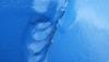 post-153-0-58741900-1391586047_thumb.jpg