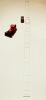 post-1618-0-19584100-1391801878_thumb.jpg