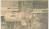 post-2551-0-03610500-1708338741_thumb.jpg