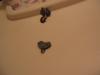 post-26-1299242645,8244_thumb.jpg