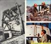 post-265-1299243156,8817_thumb.jpg