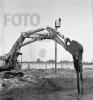 post-268-1299243516,1956_thumb.jpg