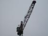 SDC12105.JPG