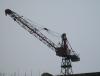 SDC12109.JPG