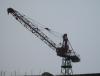 SDC12110.JPG