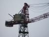 SDC12116.JPG