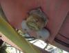 post-413-1299243396,2941_thumb.jpg