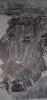 post-413-1299243511,1883_thumb.jpg