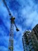 Image(117).jpg