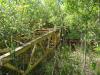 DSC00611.JPG