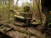 imr_05.jpg