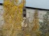 DSC03632.jpg