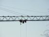 DSC03959.jpg