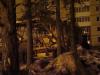 DSC042355.JPG