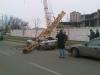 Odessa_crane_down.jpg