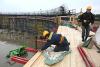 2e85e8d612537021635482.jpg