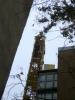post-427-0-29015200-1368983203_thumb.jpg