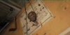 post-2551-0-09863800-1715080871_thumb.png