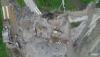 post-2551-0-43016000-1592057813_thumb.jpg