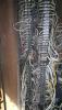 post-2616-0-08616000-1591055221_thumb.jpg