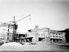 post-196-0-79741800-1437402797_thumb.jpg