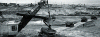 post-196-0-83635600-1381862419_thumb.gif