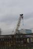 post-451-0-47343000-1383476623_thumb.jpg