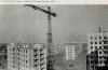 post-196-0-63039000-1419527697_thumb.jpg
