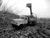 post-231-0-31860800-1482677615_thumb.jpg