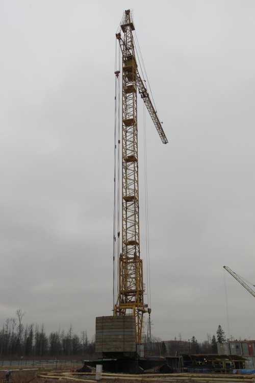 07.JPG