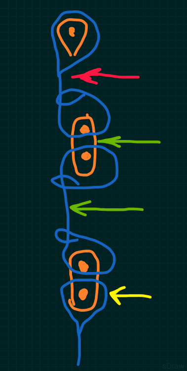 20250515_sDraw Проект 15_1747305350.png