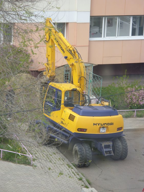 SDC11915.thumb.JPG.b05441a4182c2aca9fa8093368e864d7.JPG