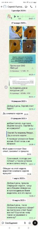 Чат с директором Сергеем.jpg