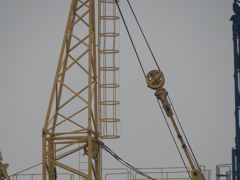 DSCN0180.JPG