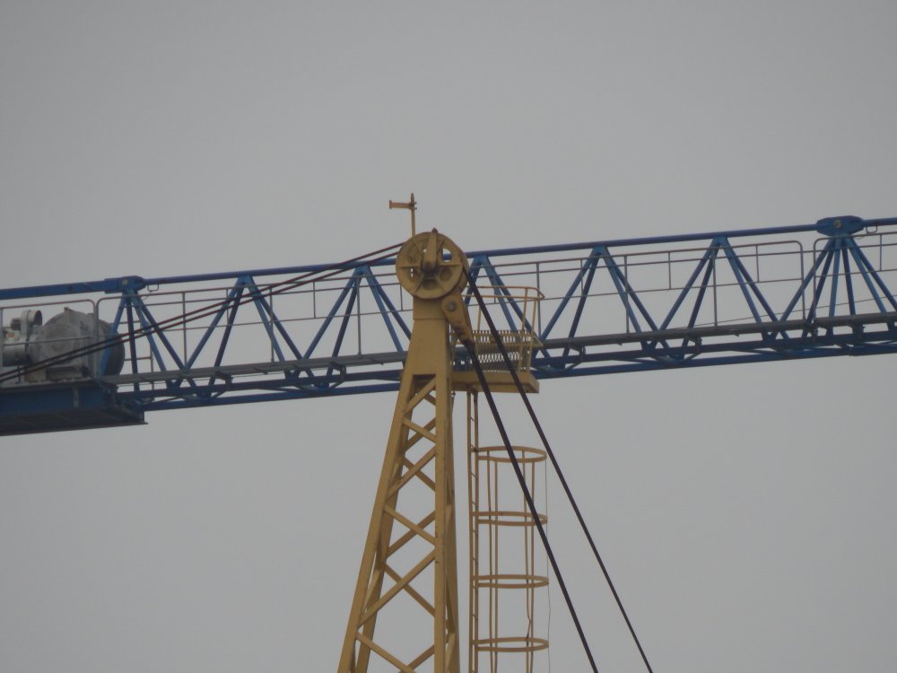 DSCN0181.JPG