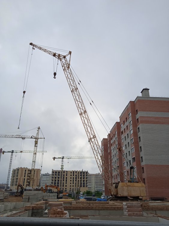 IMG_20250606_190826_1.jpg