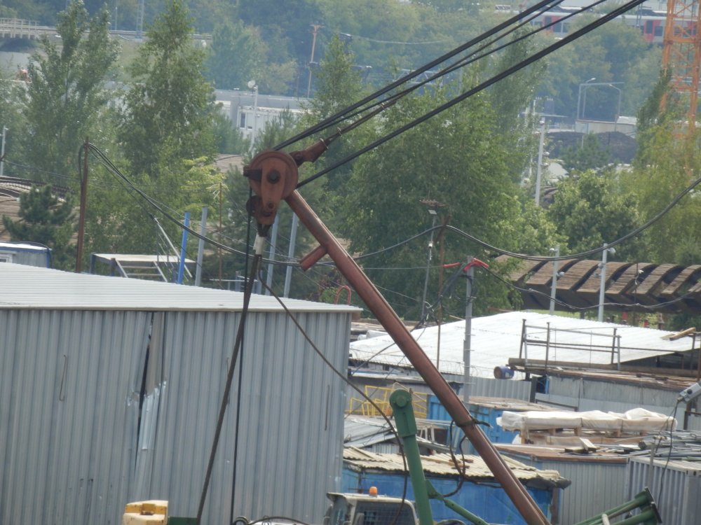 P7240551.JPG