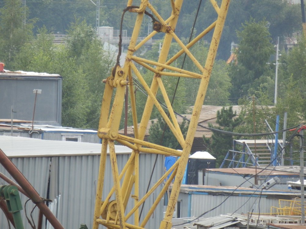 P7240588.JPG