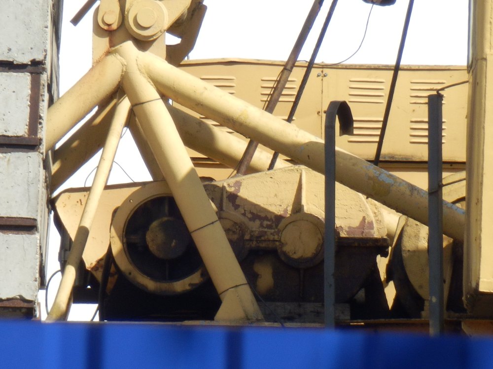 P8151376.JPG