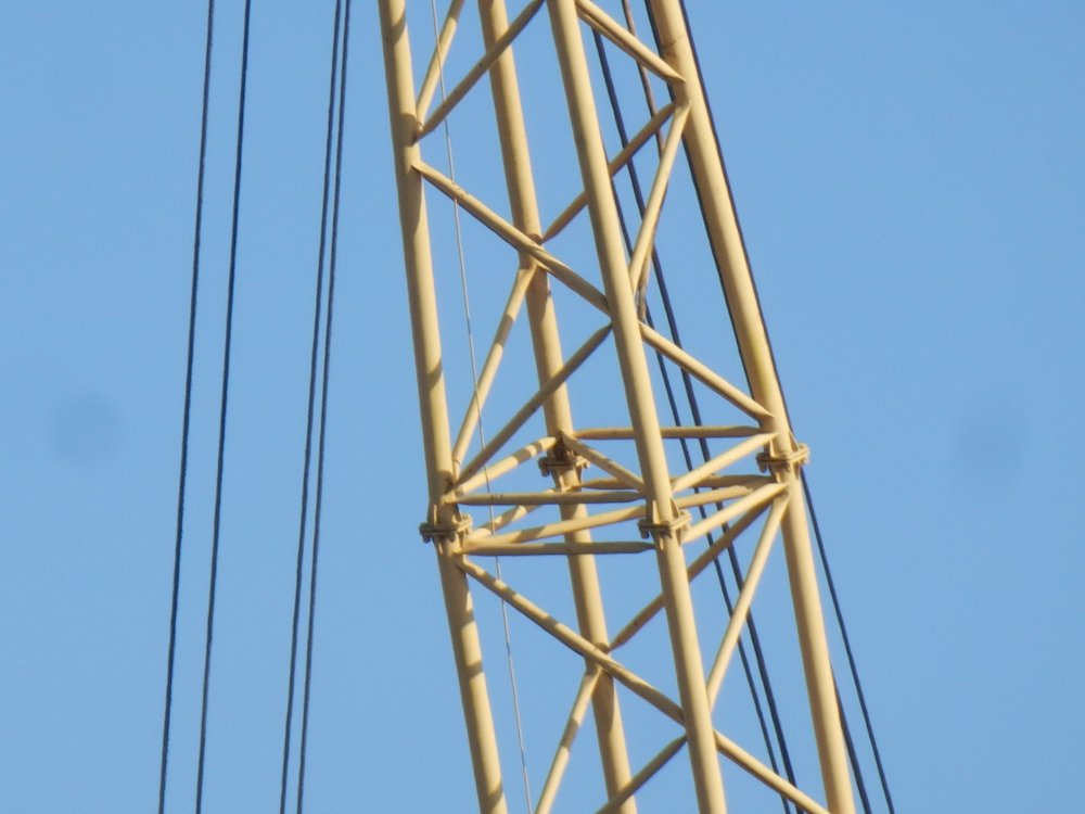 P8151534.JPG