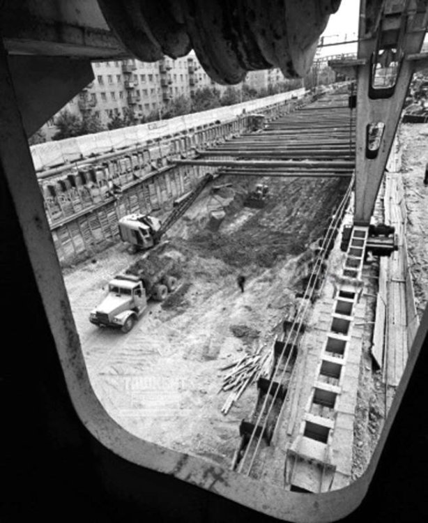 scale_1200 (29).jpeg