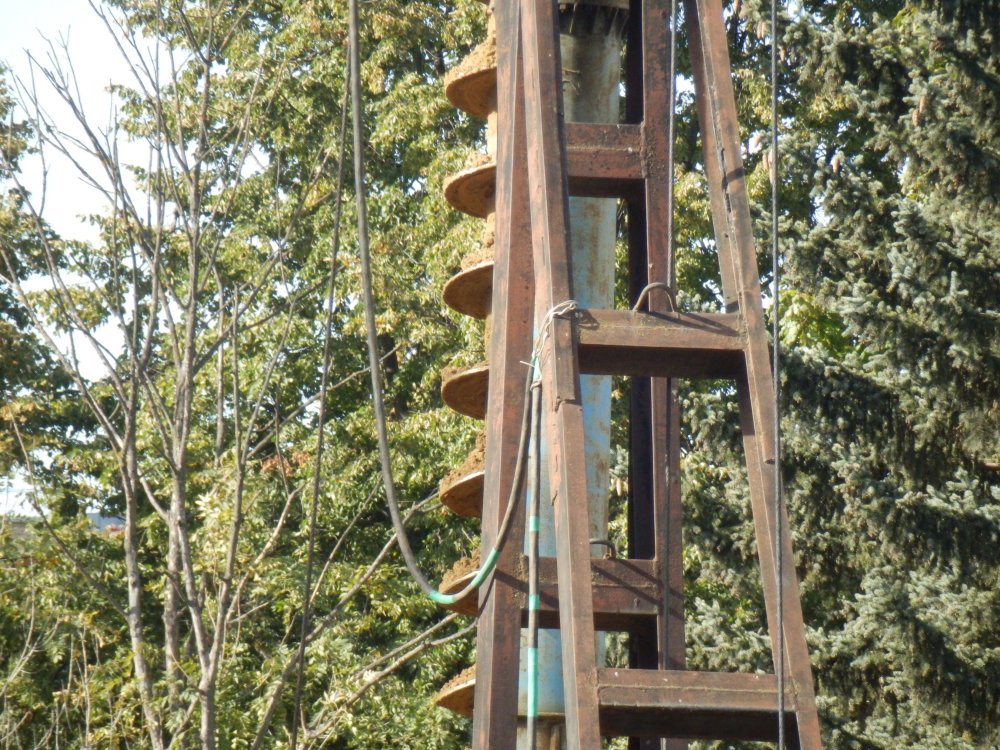 PA010202.JPG