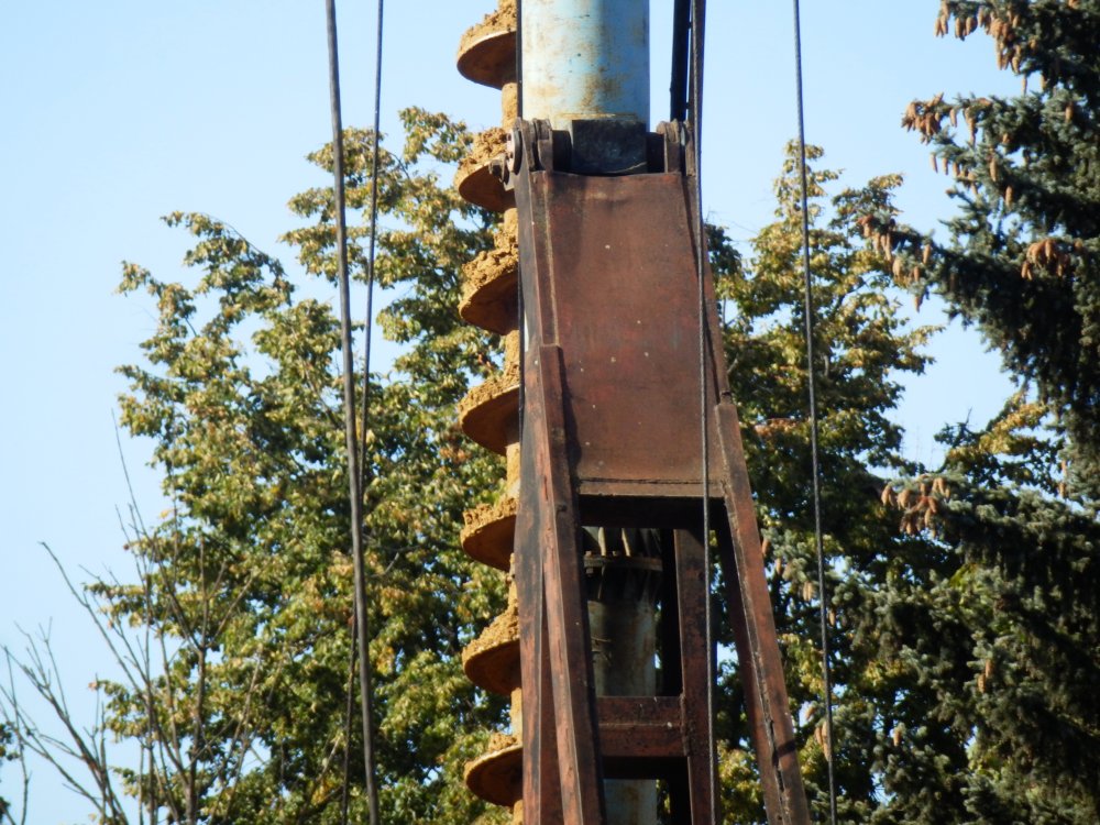 PA010211.JPG