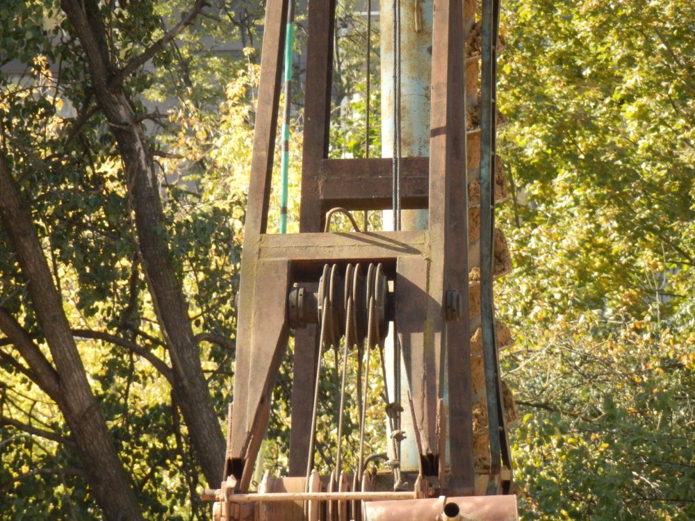 PA010237.JPG