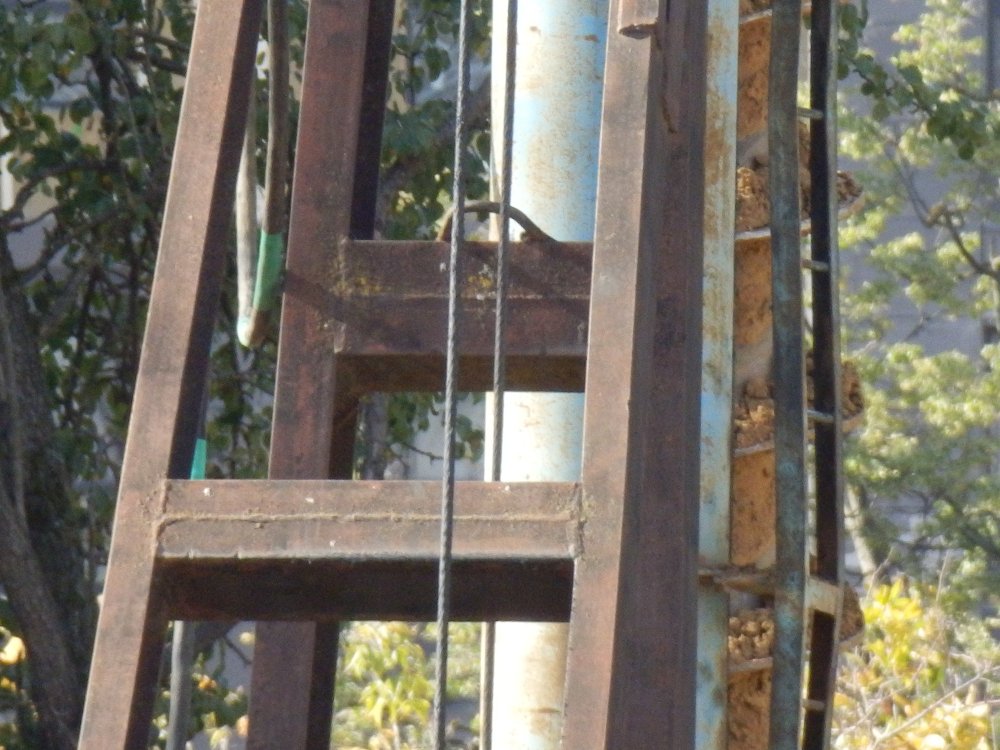 PA010292.JPG