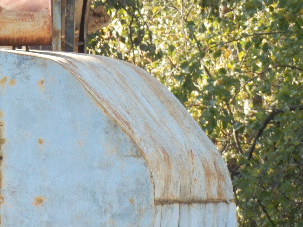 PA010300.JPG