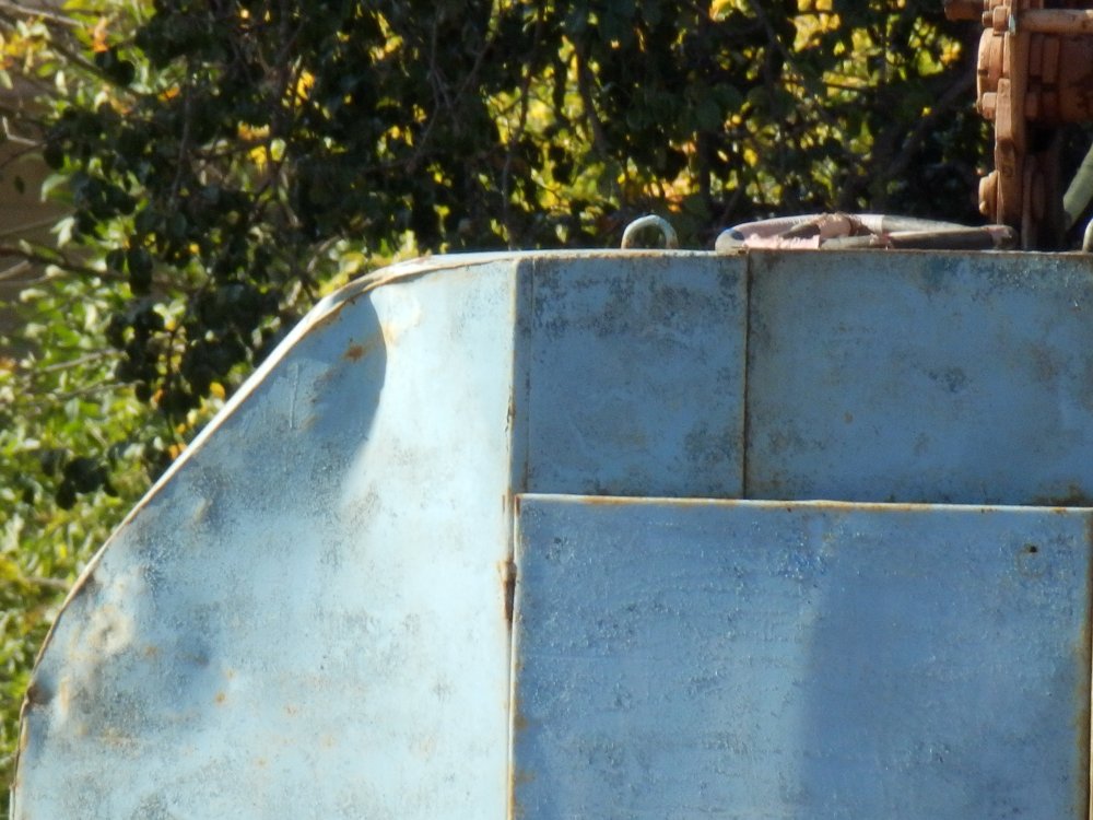 PA010310.JPG