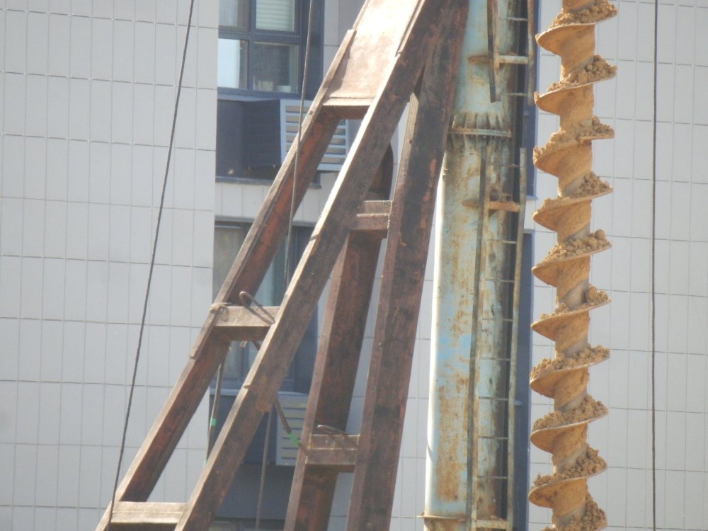 PA010350.JPG