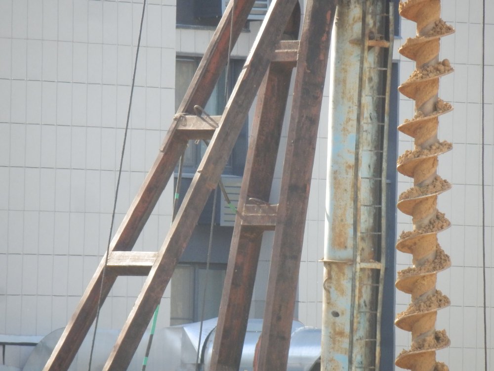 PA010351.JPG